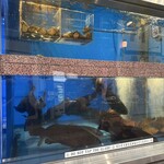 せいもん払い - 