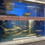 せいもん払い - 