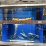 せいもん払い - 