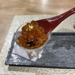 鮨ト酒肴 富かわ - 