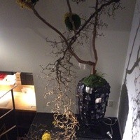 膳夫 高木 - 