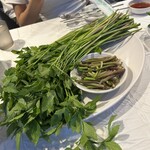 プルトゥンヌンテジ - 