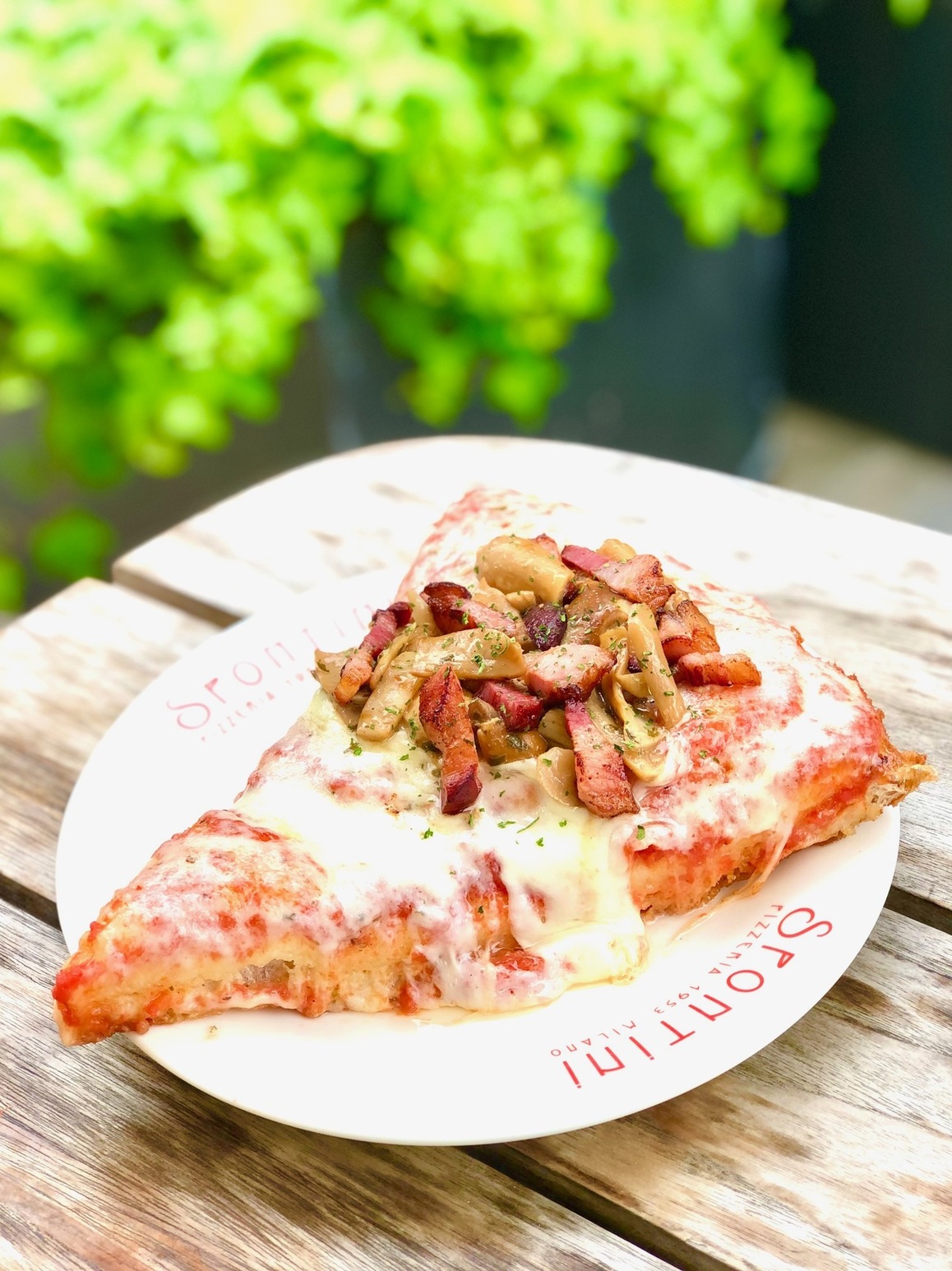 写真 : PIZZERIA SPONTINI カスケード原宿店 （ピッツェリア