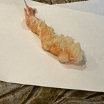 てんぷら 千の種 - 