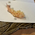 てんぷら 千の種 - 