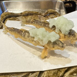 てんぷら 千の種 - 