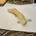 てんぷら 千の種 - 