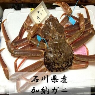 馳走たいせい_0