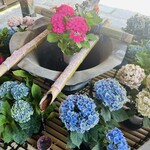 すき焼きと牛まぶし ももしき - 