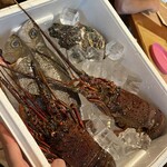 Trattoria Da KENZO - 豪華食材たち