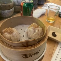 STEAMAN - 