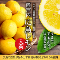 広島レモンハイボール