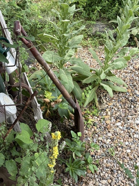 株式会社きちみ製麺 売店 - 白石（その他）の写真