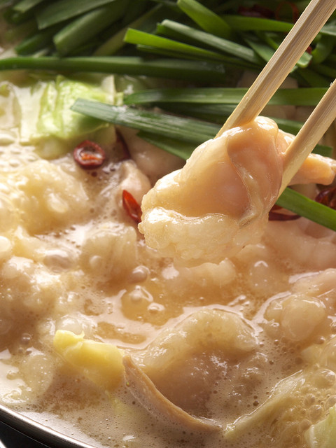 五臓六腑 豊洲店 豊洲 もつ鍋 Pathee パシー