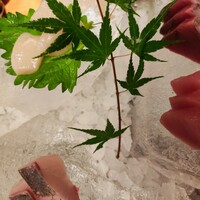 銀平 北新地店 - 