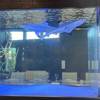 鉄板DINING集 栄店 - 