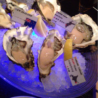 MAIMON GINZA - 