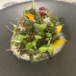 オトワ レストラン - 