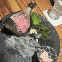 飯家くーた 銀座七丁目店 - 