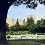 お好み焼き しみづ - 暑いけど2駅散歩がてらに「靭公園(うつぼこうえん)」プラプラ
      緑がキレイで「ねぎ焼き」食べたくなってきた