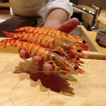 鮨 しみず - 車海老