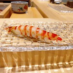 鮨 しみず - 車海老