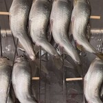 御料理 まつ山 - 