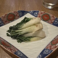 NOGI - 