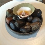 Noma - マホガニークラム