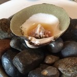 Noma - １００才くらいの貝だそうです