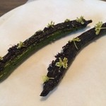 Noma - きゅうりとアリ　パセリの花