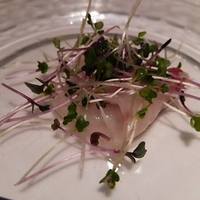 IL PINOLO 梅田 - 