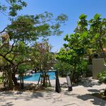 カフェ ストレータ - 