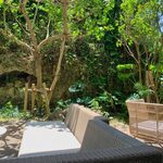 カフェ ストレータ - 