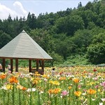 新野肉店 - いいでどんでん平ゆり園(ღ*ˇ ˇ*)｡o♡