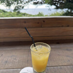 ガジュマルロック - 