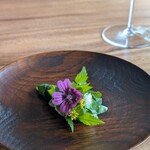 ヴィラ・デラ・パーチェ - 