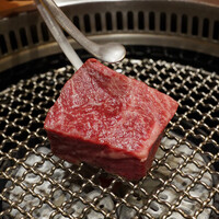 日本焼肉はせ川 表参道店 - 