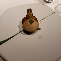 レフェルヴェソンス - 