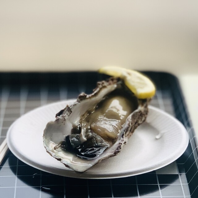 さがなぁや - 小岩川（その他）の写真