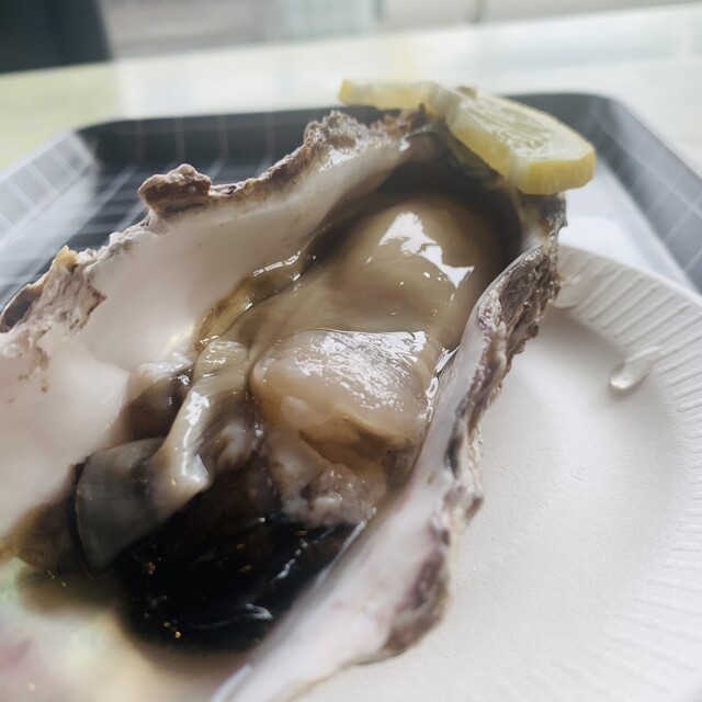 さがなぁや - 小岩川（その他）の写真