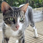 バンタカフェ by 星野リゾート - 