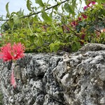 バンタカフェ by 星野リゾート - 