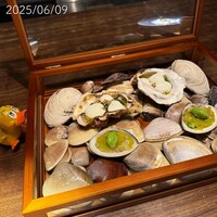 yokoyama - 