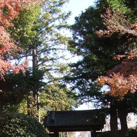 翠州亭 - 内側から見た木戸です。