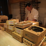 くろぎ - いちめんのまつたけ！！