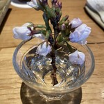 やきとり 結火 - 店員さんから水が入ったお猪口をもらい、桜を入れて飾りました☺️