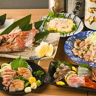 その時期一番美味しい食材が多彩に味わえるコースがお得◎