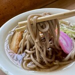 鴨池・垂水フェリー 南海うどん - 料理写真:かけそば500円