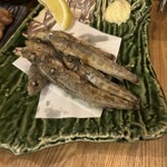 やきとり 八咫烏 - 